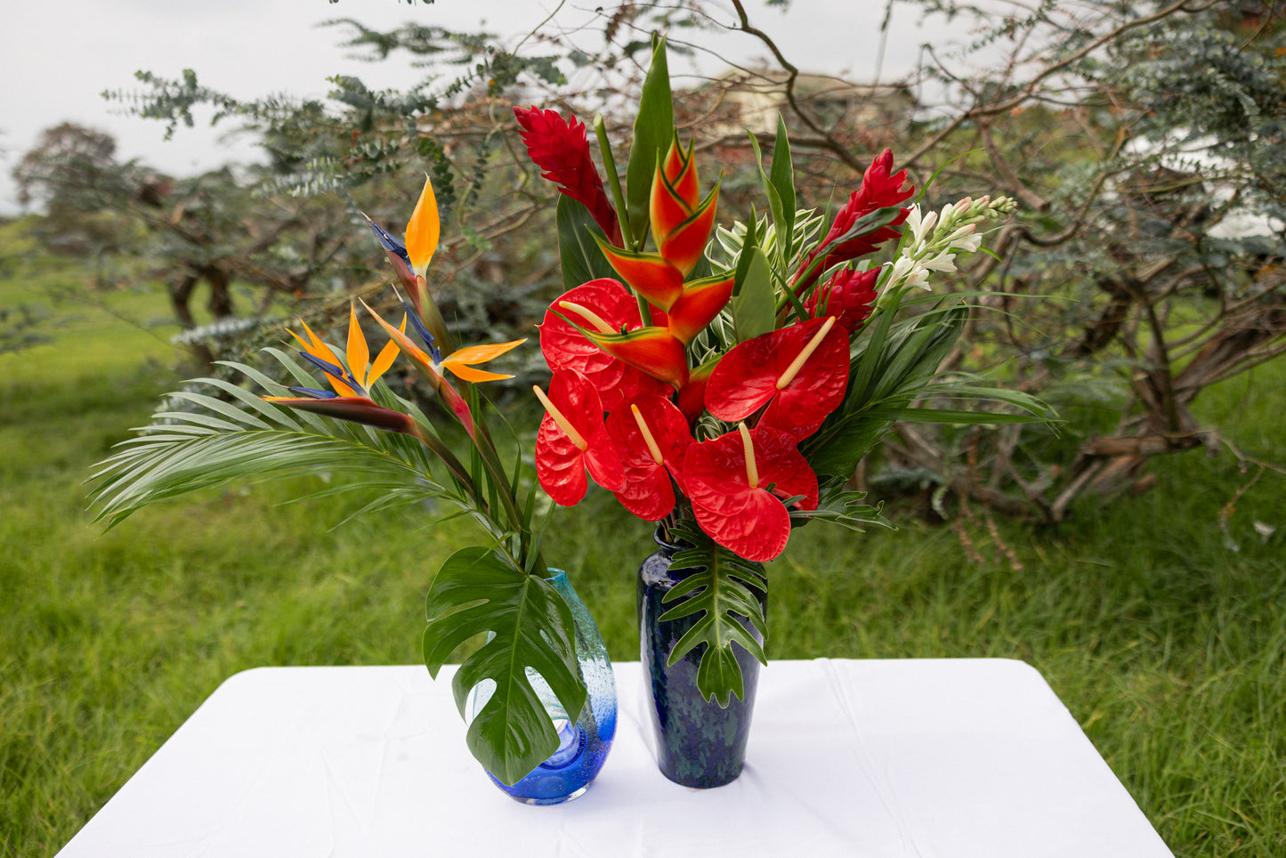 Tropical Gift Box