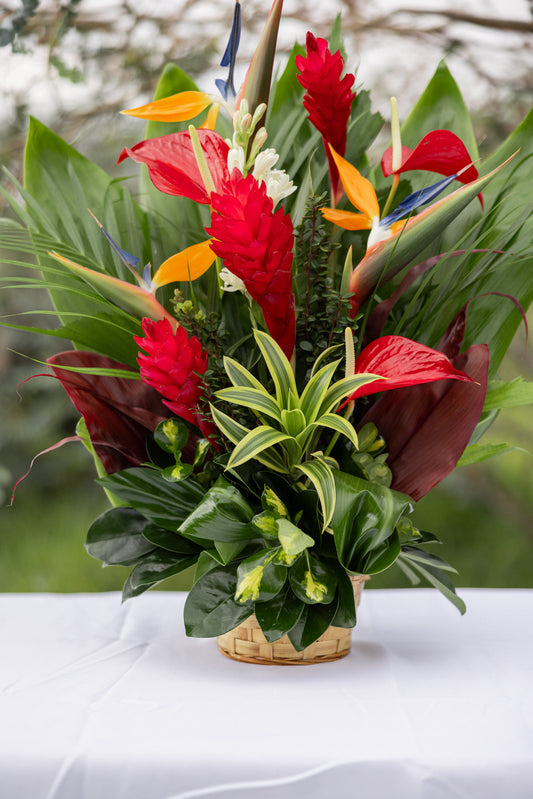 Tropical Basket