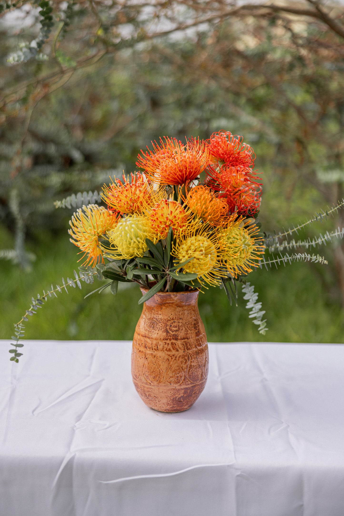 Pincushion Protea