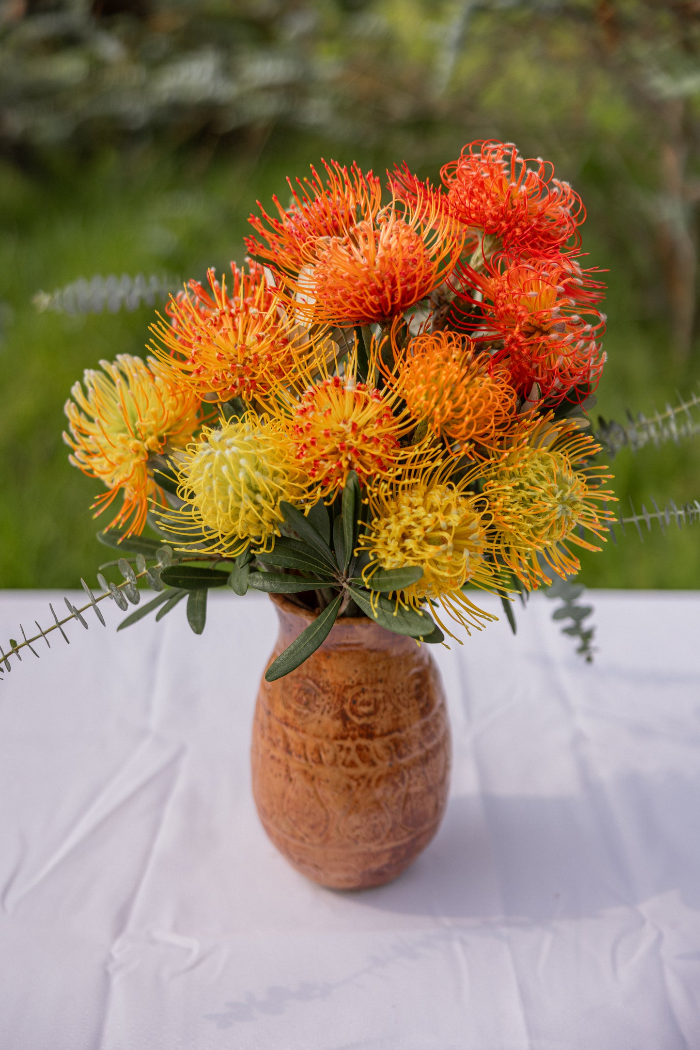 Pincushion Protea