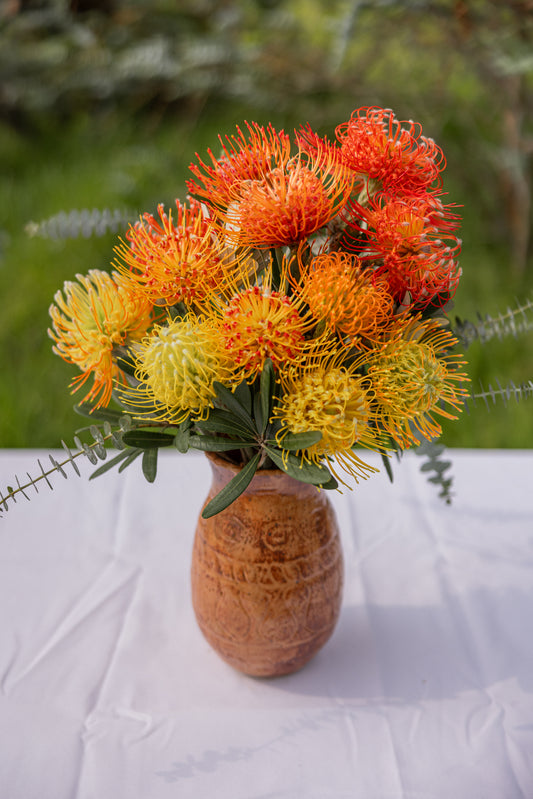 Pincushion Protea