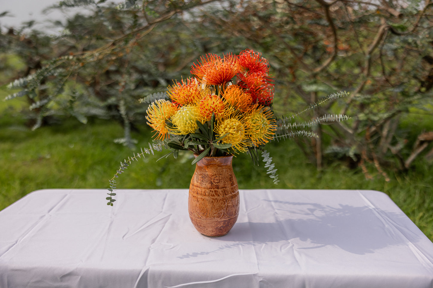 Pincushion Protea