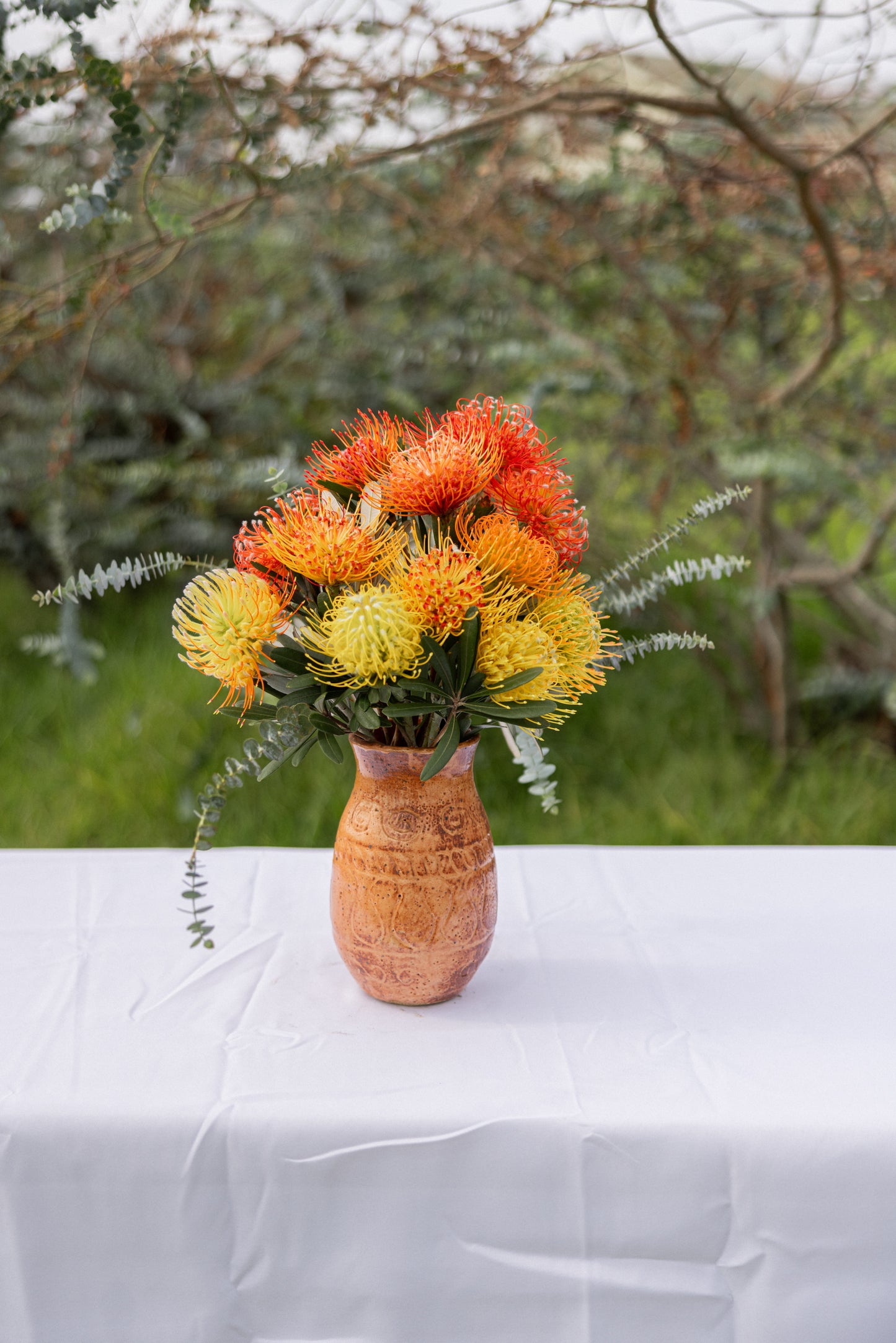 Pincushion Protea