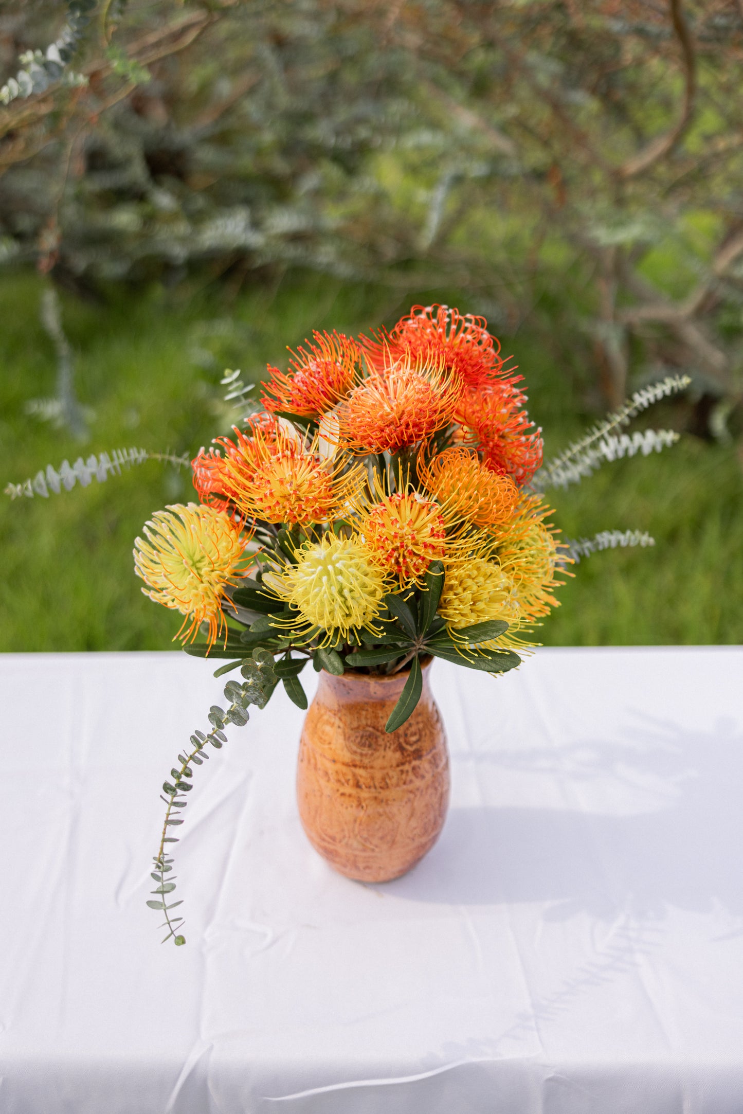 Pincushion Protea