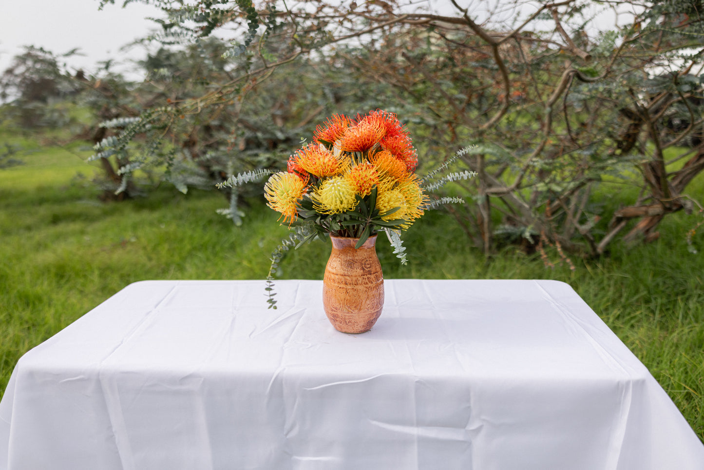 Pincushion Protea