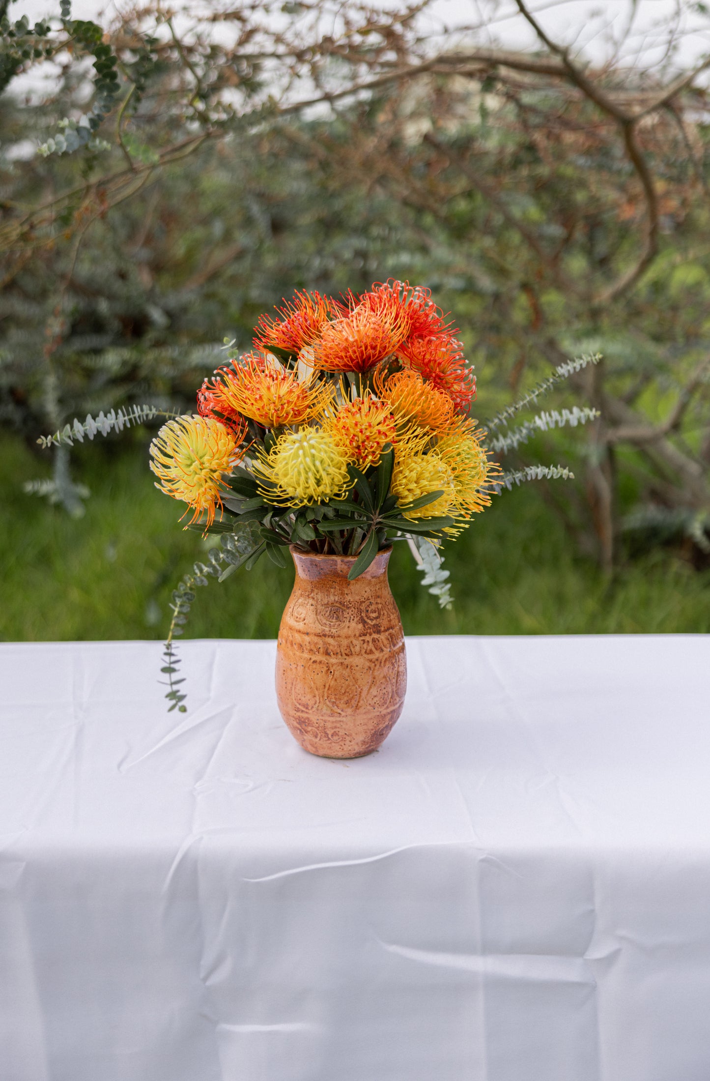 Pincushion Protea