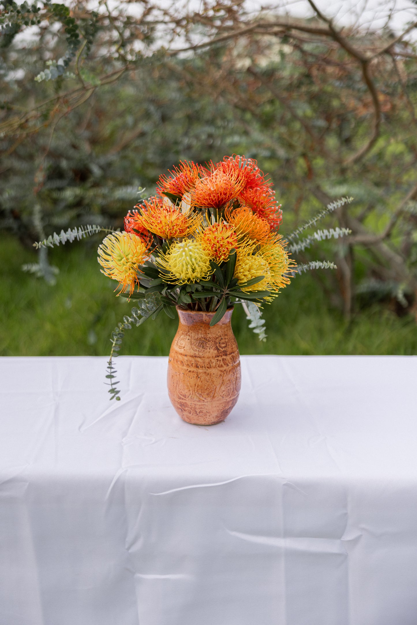 Pincushion Protea