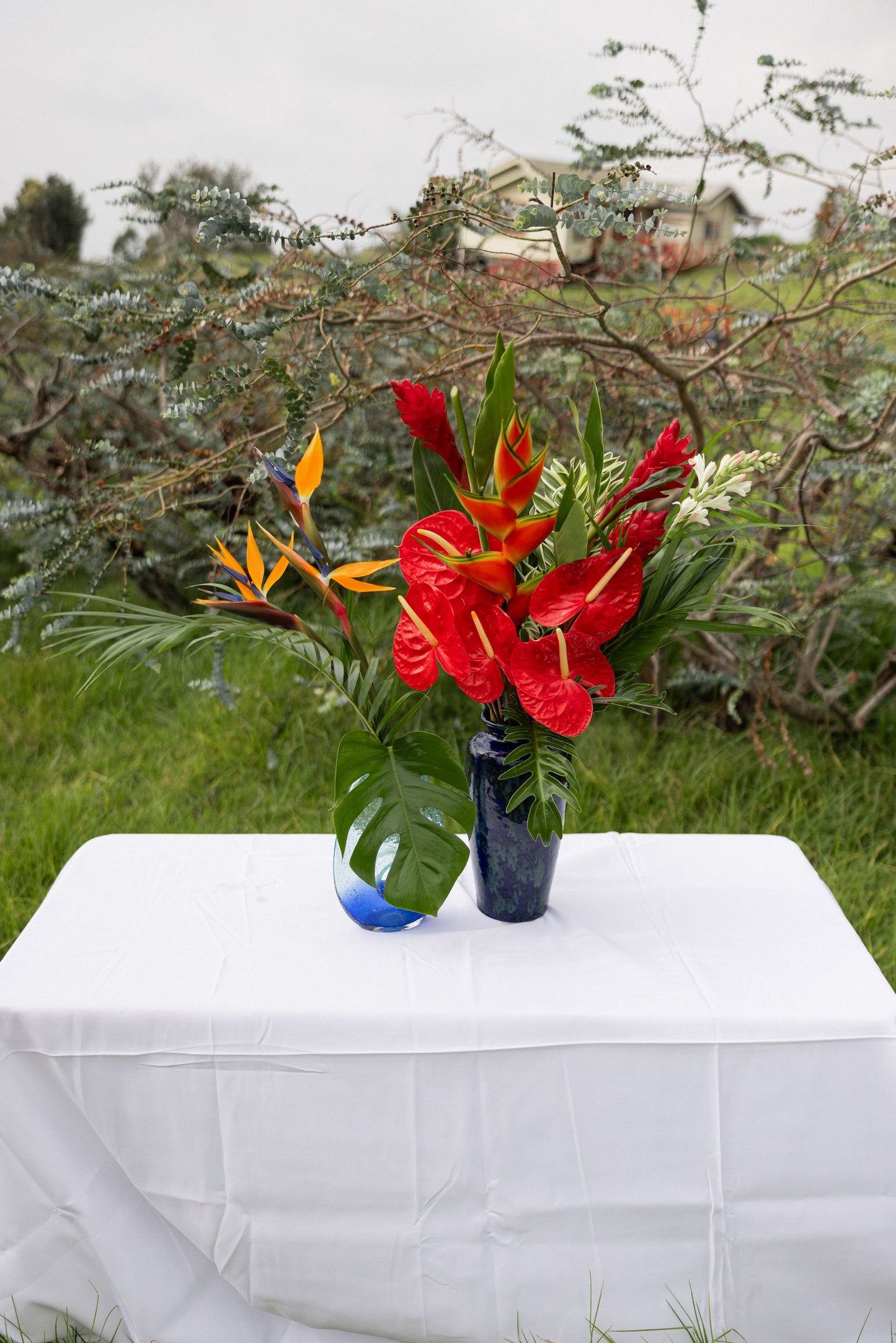 Tropical Gift Box