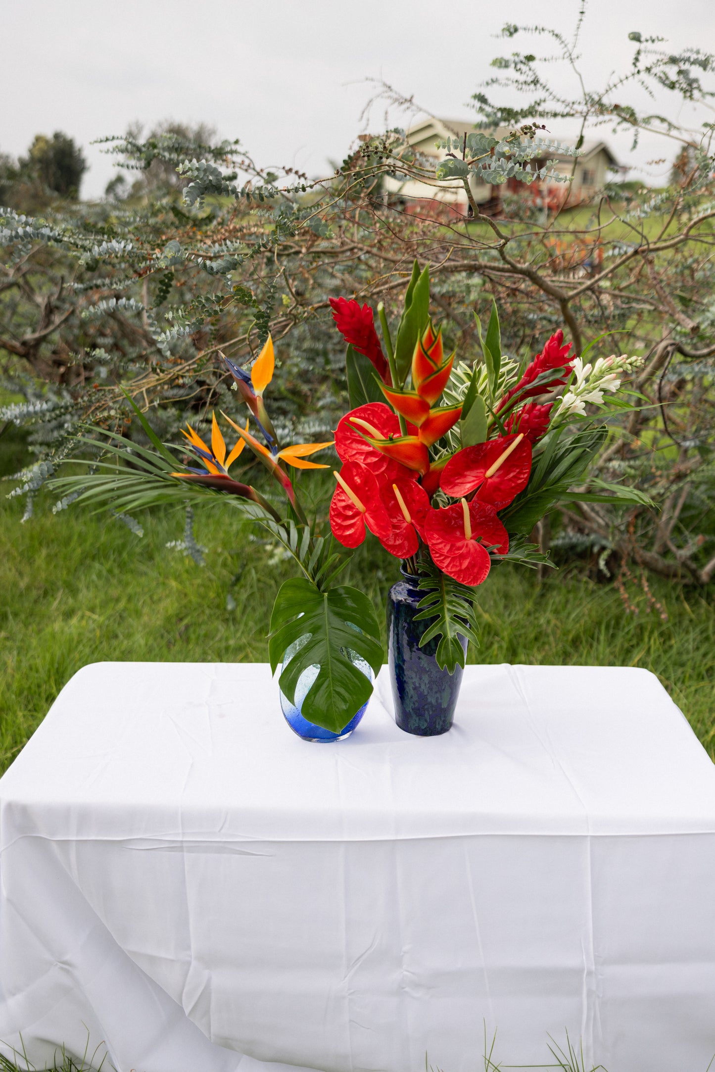 Tropical Gift Box