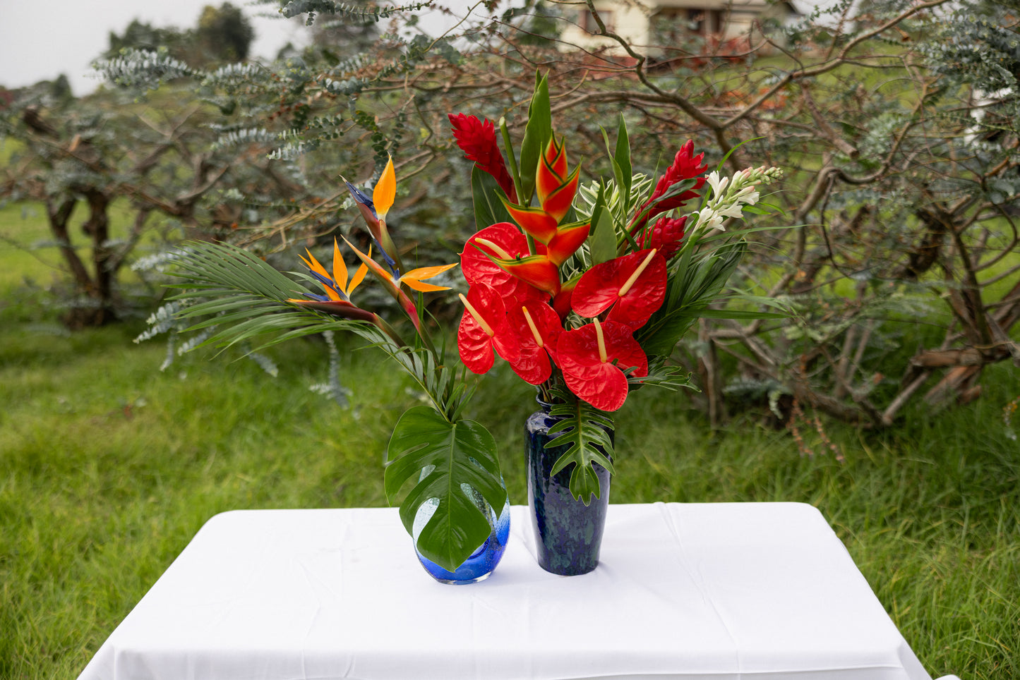Tropical Gift Box