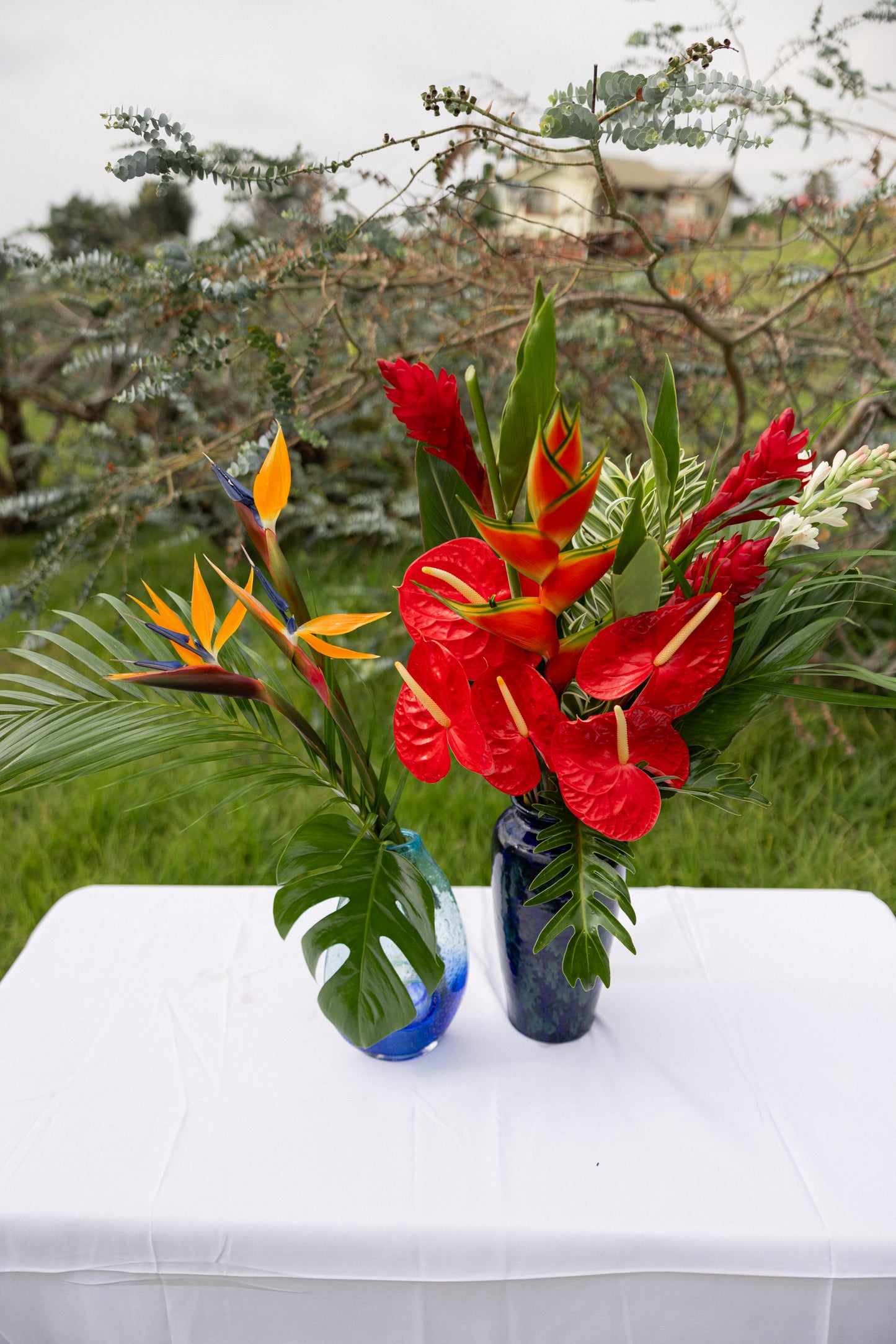 Tropical Gift Box