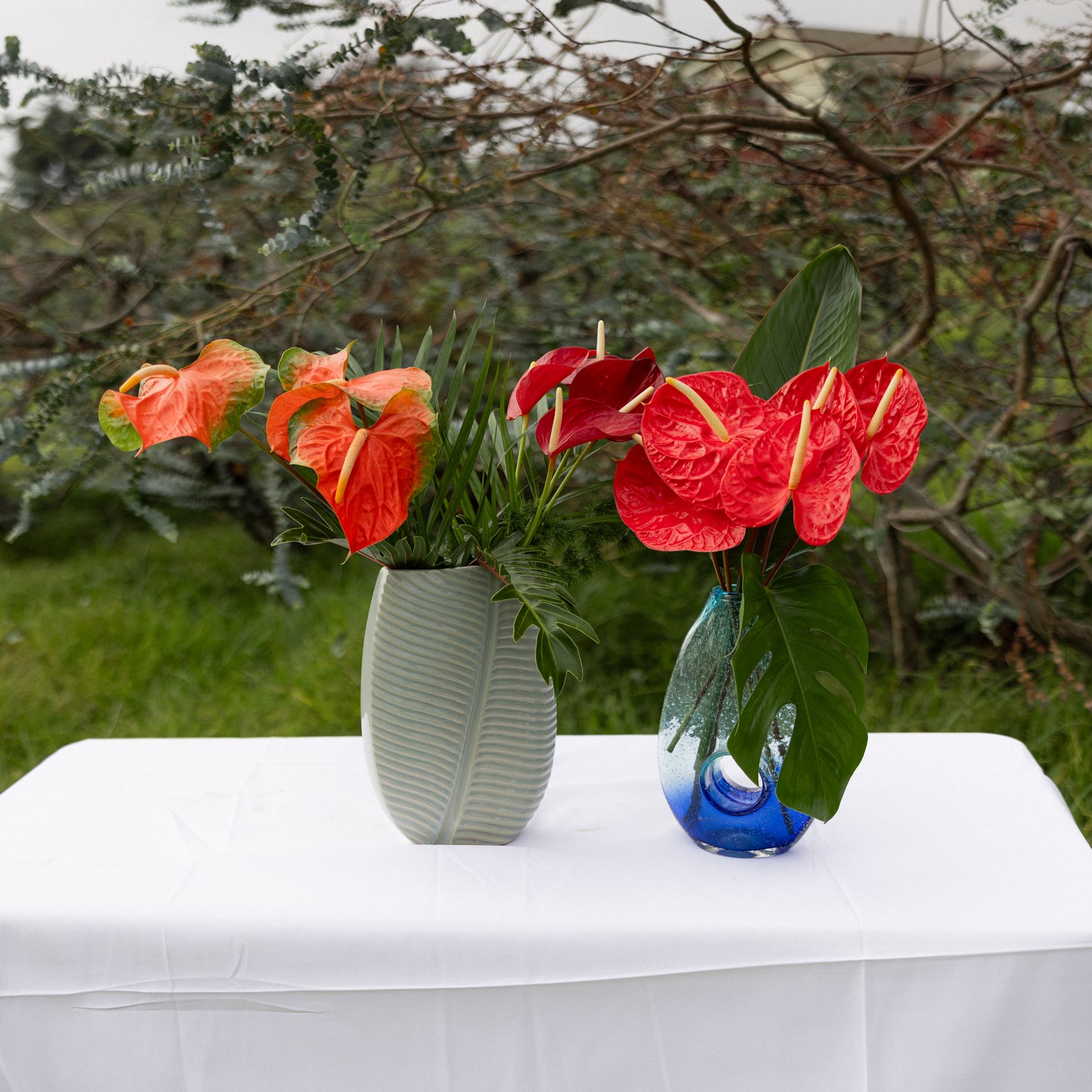 Anthuriums