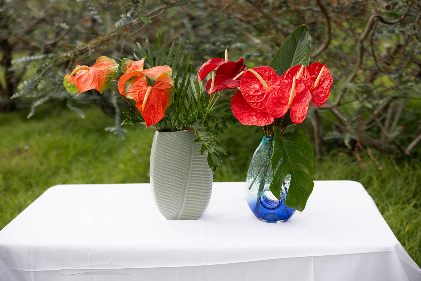 Anthuriums