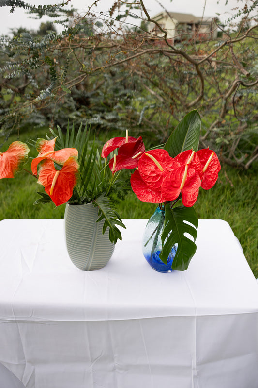 Anthuriums