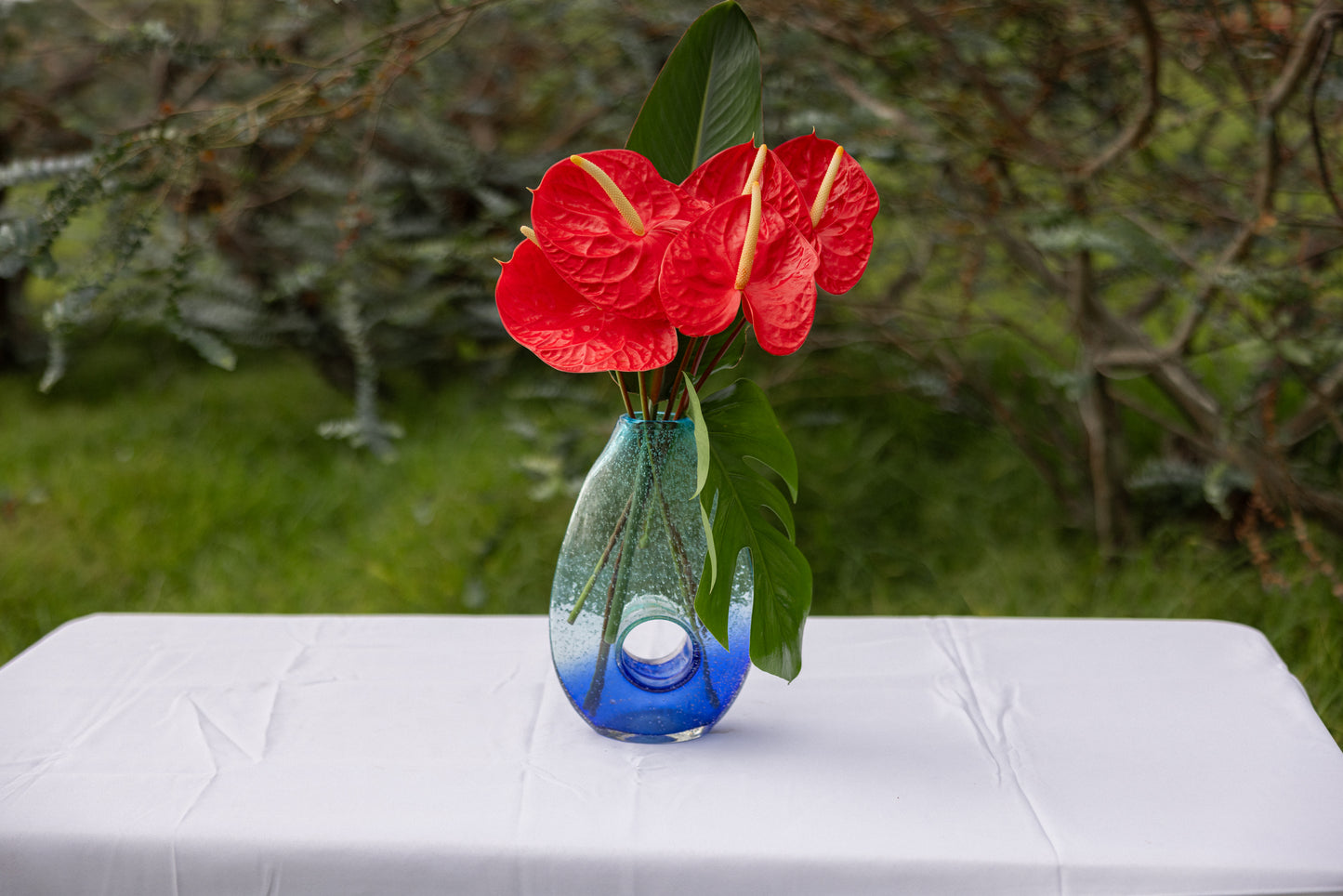 Anthuriums